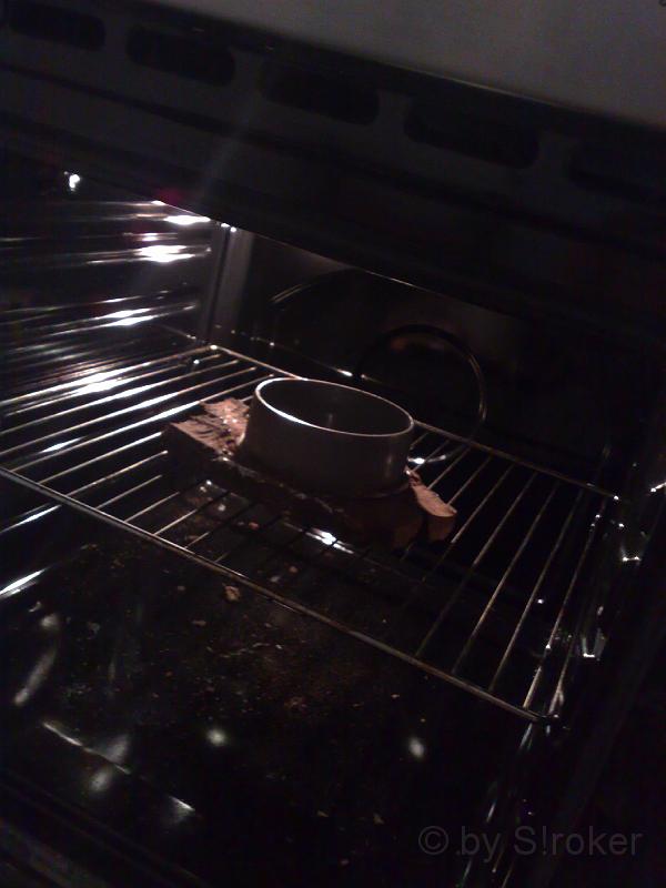 01.jpg - Das Holzstück von der Stage 3 wurde beim Finals "Bahnhof Braunshardt," (GC1DVBB; gelegt von der Corsamaus69) gefunden.Es wurde zurecht gesägt, die Schnittkanten verkleidet und mittels MS-Polymer Kleber mit der Kappe verklebt. Zusätzlichsind noch ein paar Schrauben hinzu gekommen.Das Holzstück wurde anschließend mehrfach in Braun- und Schwarztönen gestrichen. Als besonderes Schmankerl habe ich einen Griffeingebaut. Die Tarnung wurde noch verbessert, indem ich auf den noch feuchten Klarlack die Sägespäne vom Schneiden des Holzesaufgebracht habe.-Leider wurde das Holzstück durch einen Fußtritt eines unvorsichtigen Cachers beschädigt-