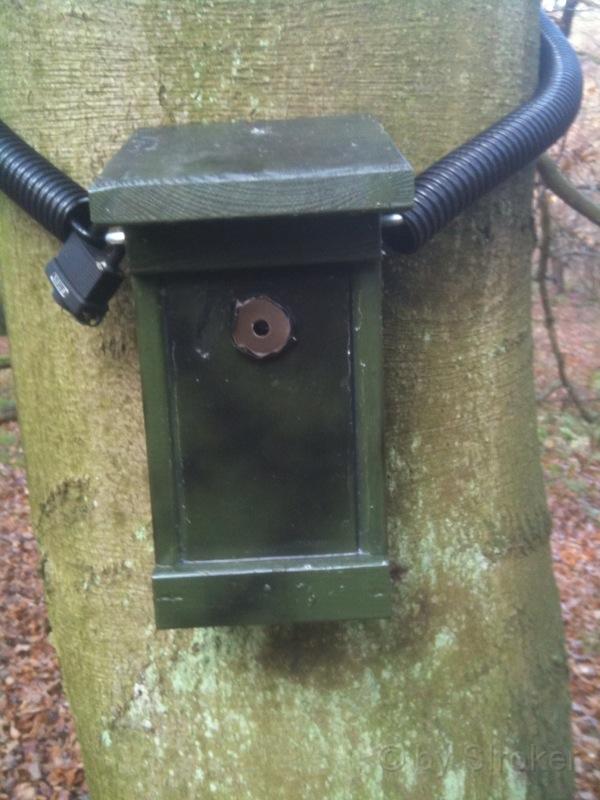 11.jpg - Das Vogelhaus wurde mit einer 5mm dicken Stahlkette, die duch einen flexiblen Schutzschlauch läuft) an den Baum gekettet.Das Vorhängeschloß erfüllt die zweitgrößte Sicherheitsstufe. Dennoch ist die Konstruktion so bemessen, das der Baumungehindert wachsen kann und es keine Scheuerstellen am Baumstamm gibt.